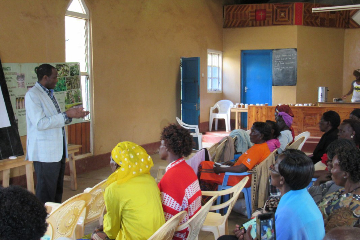 Training from the SIT team on business skills