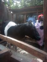 What we do - Enabling farmers