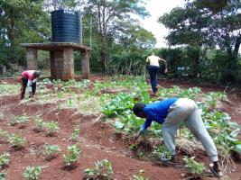 The Solidarity Children's Home - Solidarity Children's Home kids working in their kitchen garden